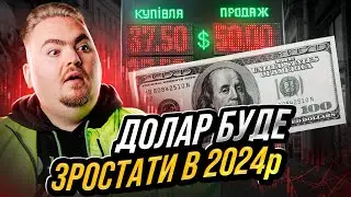 Гривню збанкрутують? Чому державі вигідний ріст долару в 2024р.?