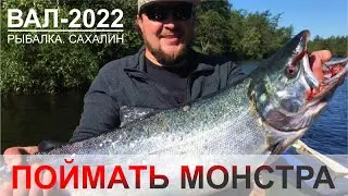 Выезд на р. Вал, Кижуч 2022 // Sakhalin silver salmon // 樺太銀鮭 // 사할린 은연어