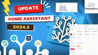 Home assistant 2024.3: Dashboard Sections View, Script Interattivi e nuovo grafico Energetico