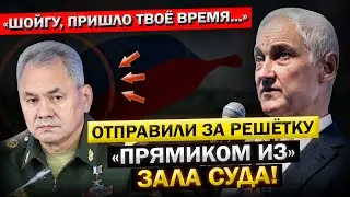 Андрей Белоусов, об "Аресте ШОЙГУ, со Всей ЕГО ПРЕСТУПНОЙ Командой..." ЗА РЕШЁТКУ! С МЕСТА Событий!