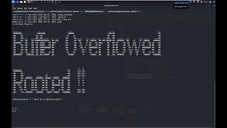 Mastering Buffer Overflow Exploits: A Complete Guide for CTF and Penetration Testing!