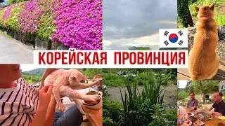 Роскошная весенняя деревня в Корее ^^ KOREA VLOG