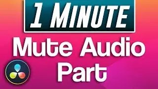 Davinci Resolve : How to Mute Part of Audio