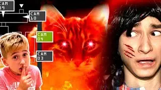 24 hours CHALLENGE with Evil Cats funny game play by kids