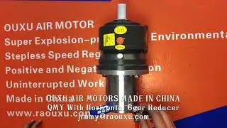 QMY VANE AIR MOTOR With Horizontal gear reducer