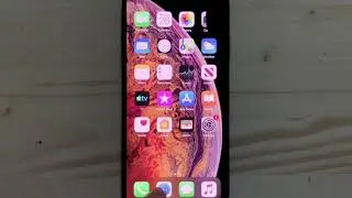 iOS 13 b8 (arm64e)