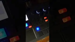 ELECTRIBE IS THE GOAT