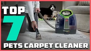 Say Goodbye to Pet Stains: 7 Best Carpet Cleaners For Pet Owner