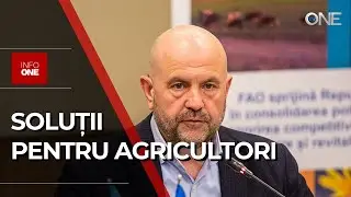 INFO ONE - GUVERNUL A APROBAT AVIZUL LA PROIECTUL UNEI LEGI SPECIALE