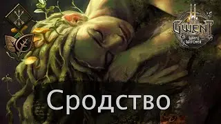 Гвинт. Сродство (Дар природы)  feat Chase. Январь 2021г. Подробный гайд + бои. Патч 8.1