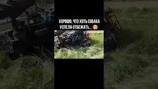 Какую ошибку они допустили? 🚜 🚙 🐶 🤔