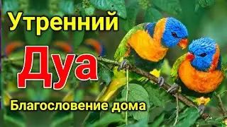 утренний дуа. дуа каждое утро