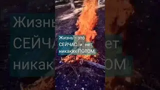 Жизнь - это СЕЙЧАС...