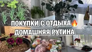 ЧТО ПРИВЕЗЛА С ОТДЫХА? ДОМАШНЯЯ РУТИНА! ЗАКУПОЧКА!  Будни Мамы Влог