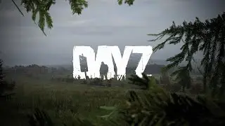 Развитие на Хардкоре DAYZ. Стрим . Проект One more Dayz Hardcore