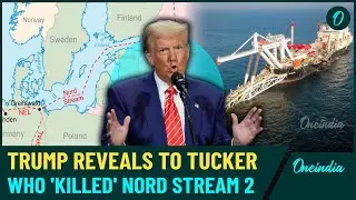 Trump's Claims About Nord Stream 2: Watch His Controversial Statement on Who Stopped the Pipeline